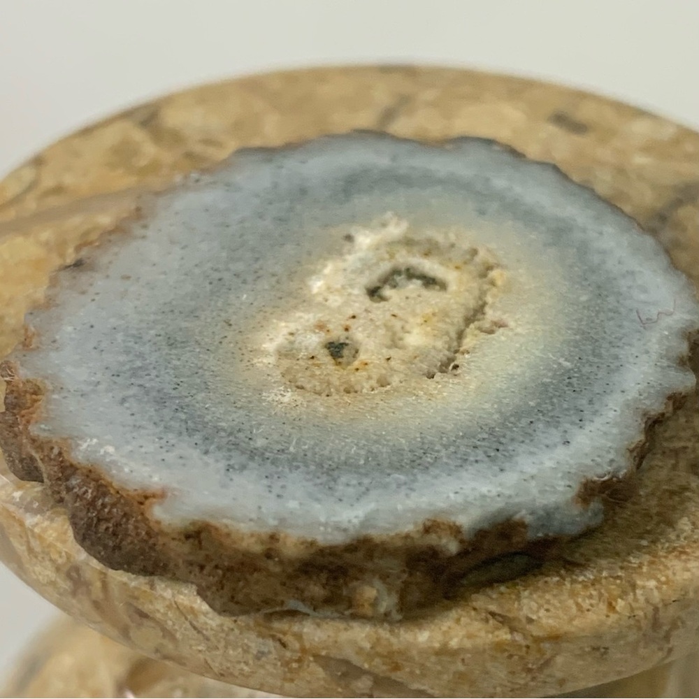 Stalactite Slice Polished Crystal Cave Mineral Rind Las Torres Mine Uruguay 1.3" - Picture 5 of 9